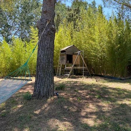 Petit Mas Calme Typique Du Sud ! Villa Valergues Exterior photo